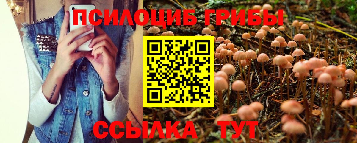 Псилоцибиновые грибы мицелий Клин
