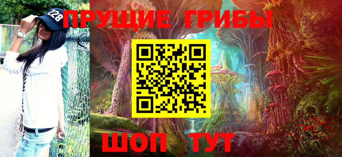 Псилоцибиновые грибы мицелий  Вход с VPN  Клин 